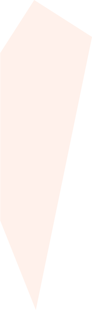 Shape 13